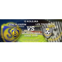 12. kolejka: Stal Pleszew vs LZS Trzcinica (niedziela 20.10.2013 godz. 15:00)