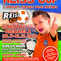 Turniej Mikołajkowy Reiss Cup 2013 w Gołuchowie (sobota i niedziela)