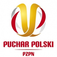 Stal Pleszew odpadła z rozgrywek Okręgowego Pucharu Polska. Ostrovia za silna